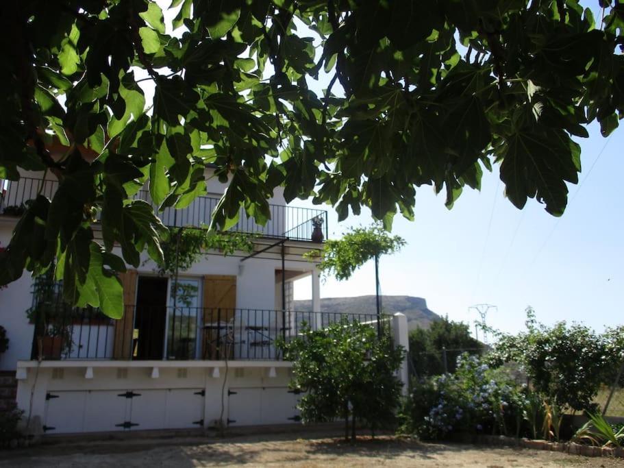 Casa La Higuera Villa Chulilla Eksteriør bilde