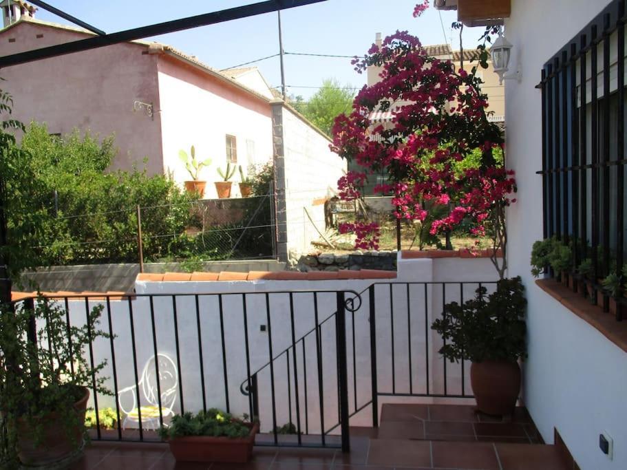 Casa La Higuera Villa Chulilla Eksteriør bilde