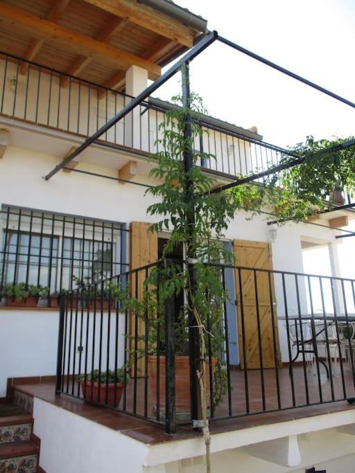 Casa La Higuera Villa Chulilla Eksteriør bilde