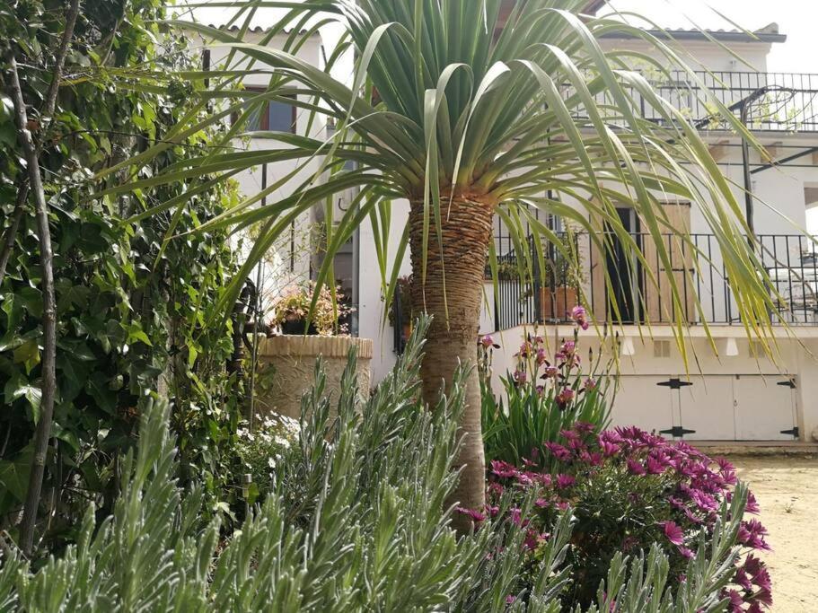 Casa La Higuera Villa Chulilla Eksteriør bilde