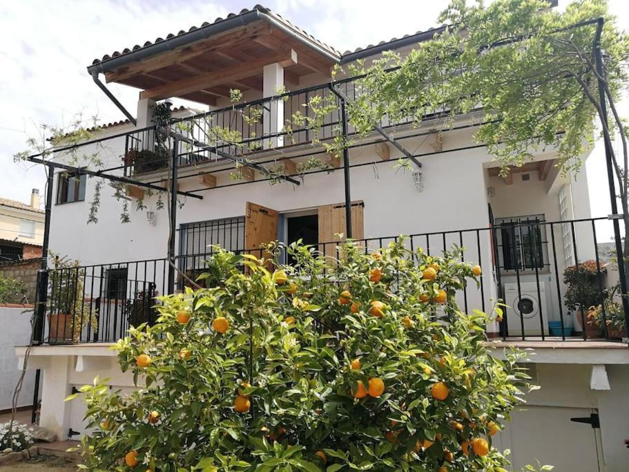 Casa La Higuera Villa Chulilla Eksteriør bilde